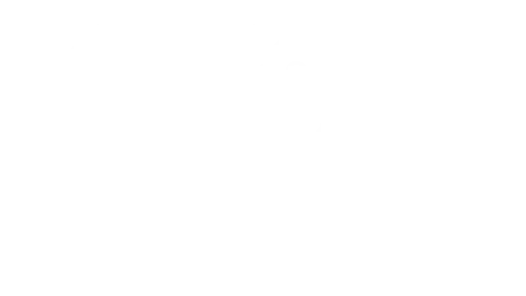 CSR VALUES